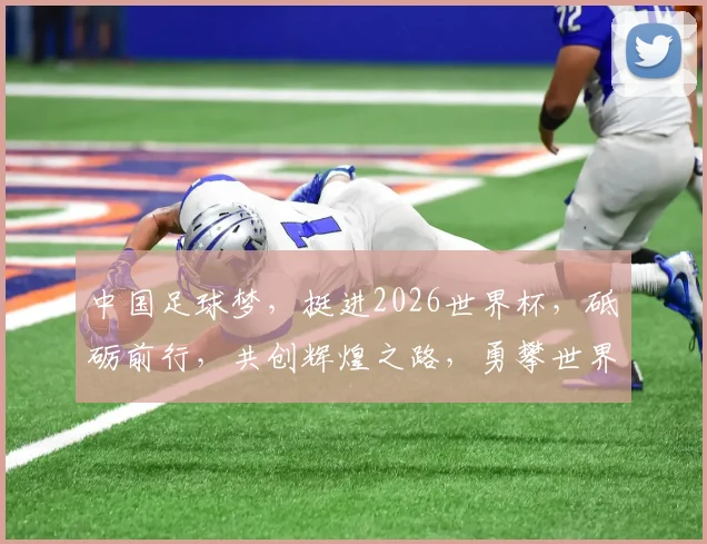 中国足球梦，挺进2026世界杯，砥砺前行，共创辉煌之路，勇攀世界巅峰