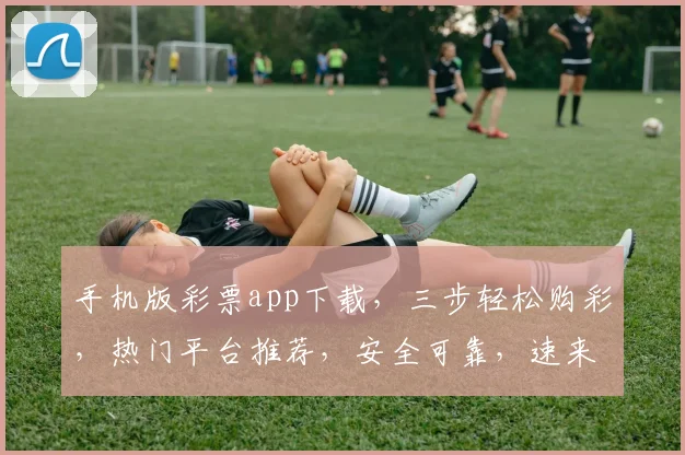 手机版彩票app下载，三步轻松购彩，热门平台推荐，安全可靠，速来体验