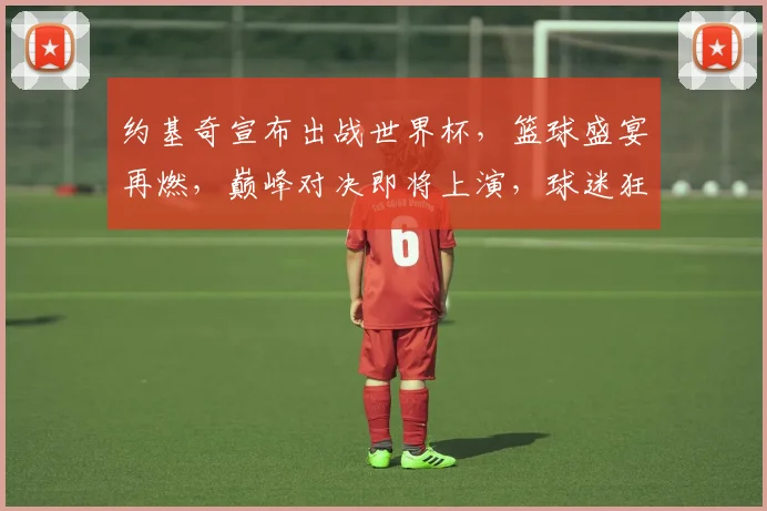 约基奇宣布出战世界杯，篮球盛宴再燃，巅峰对决即将上演，球迷狂欢不止